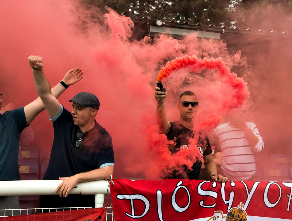 conifa-2018-018.jpg