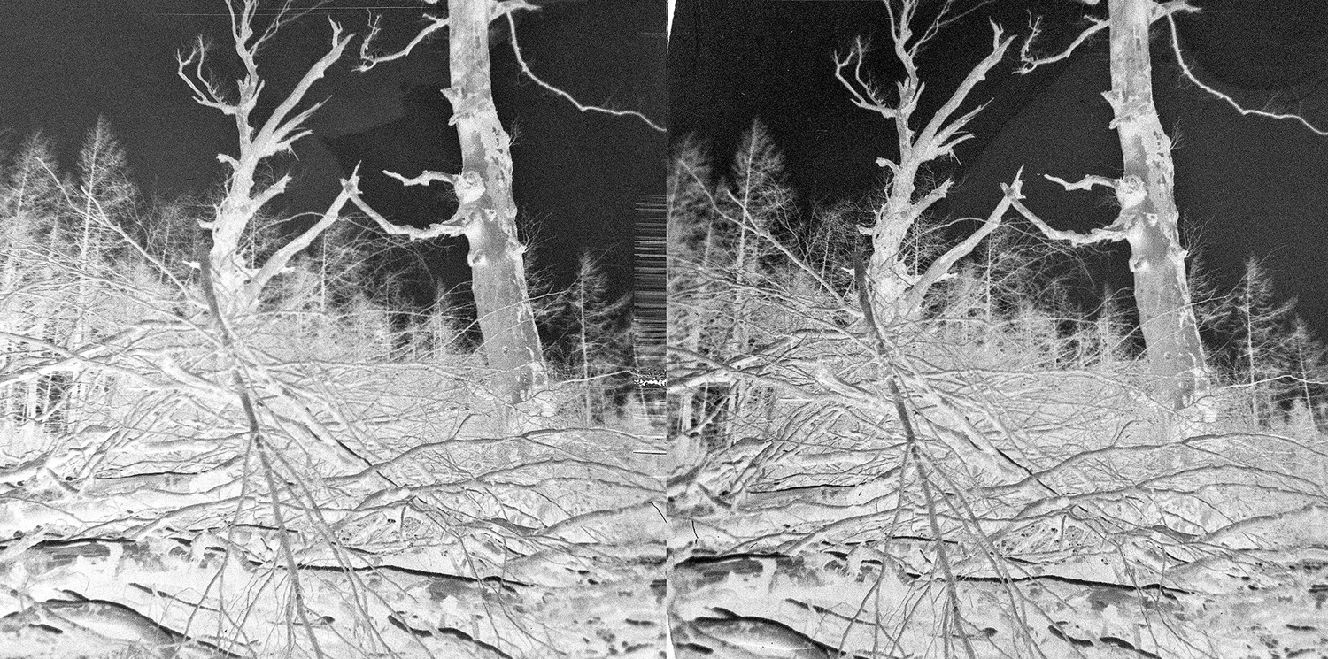 38-negative.jpg
