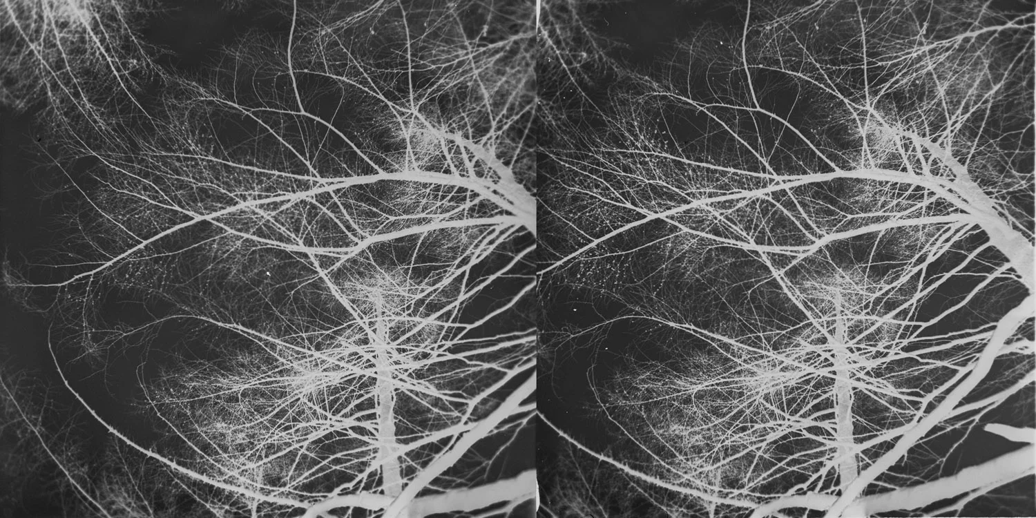 002_negative.jpg