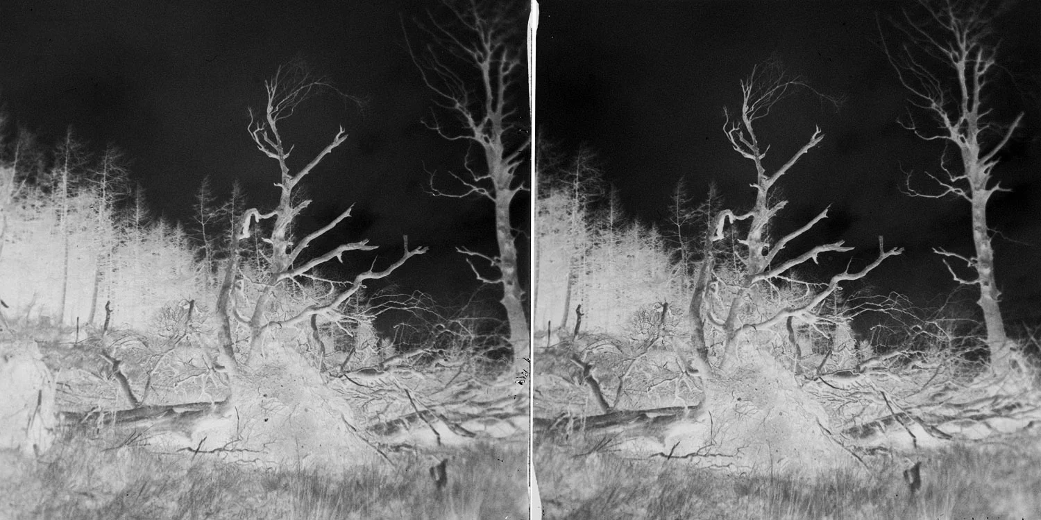 012_negative.jpg