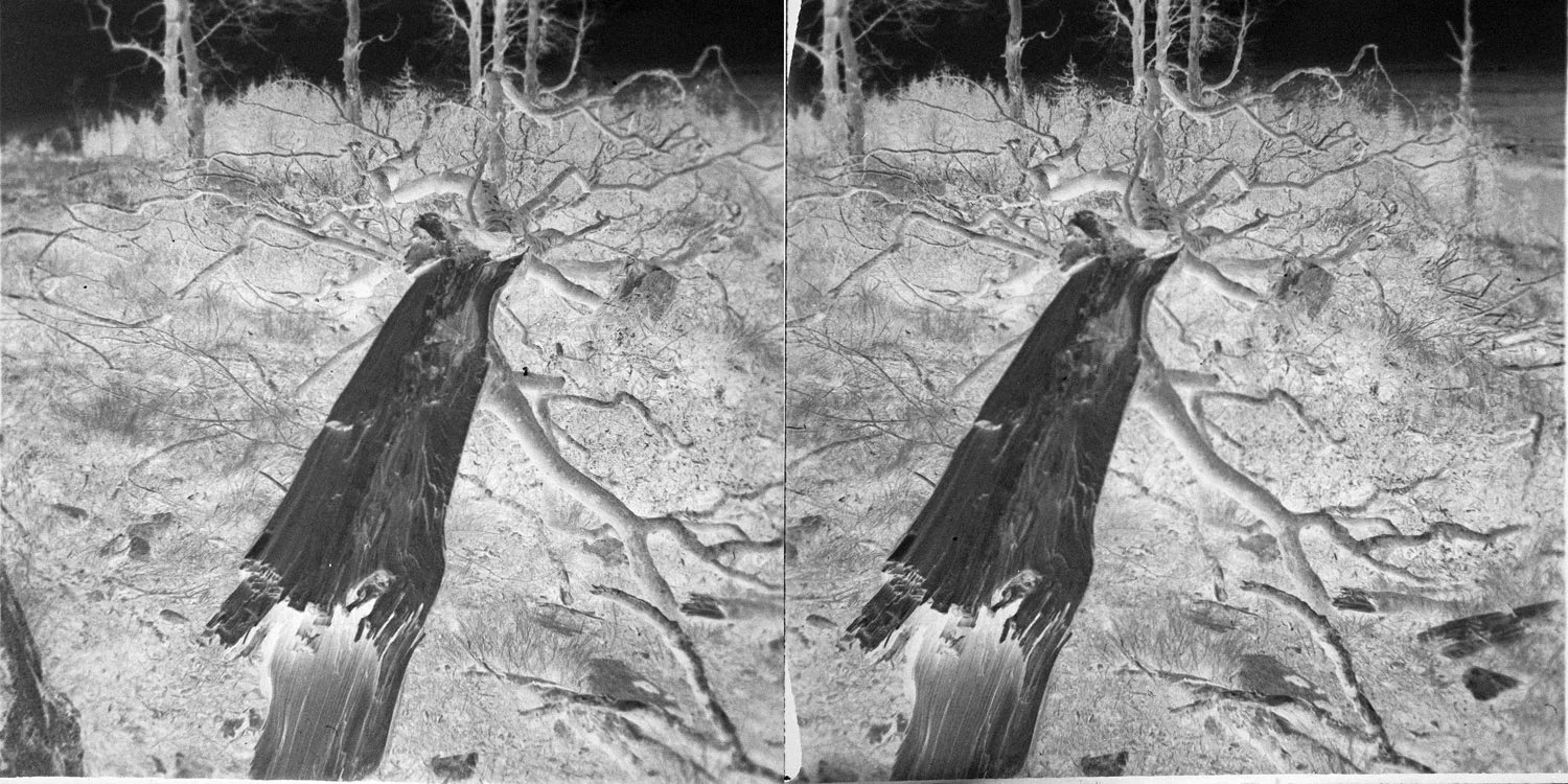 015_negative.jpg