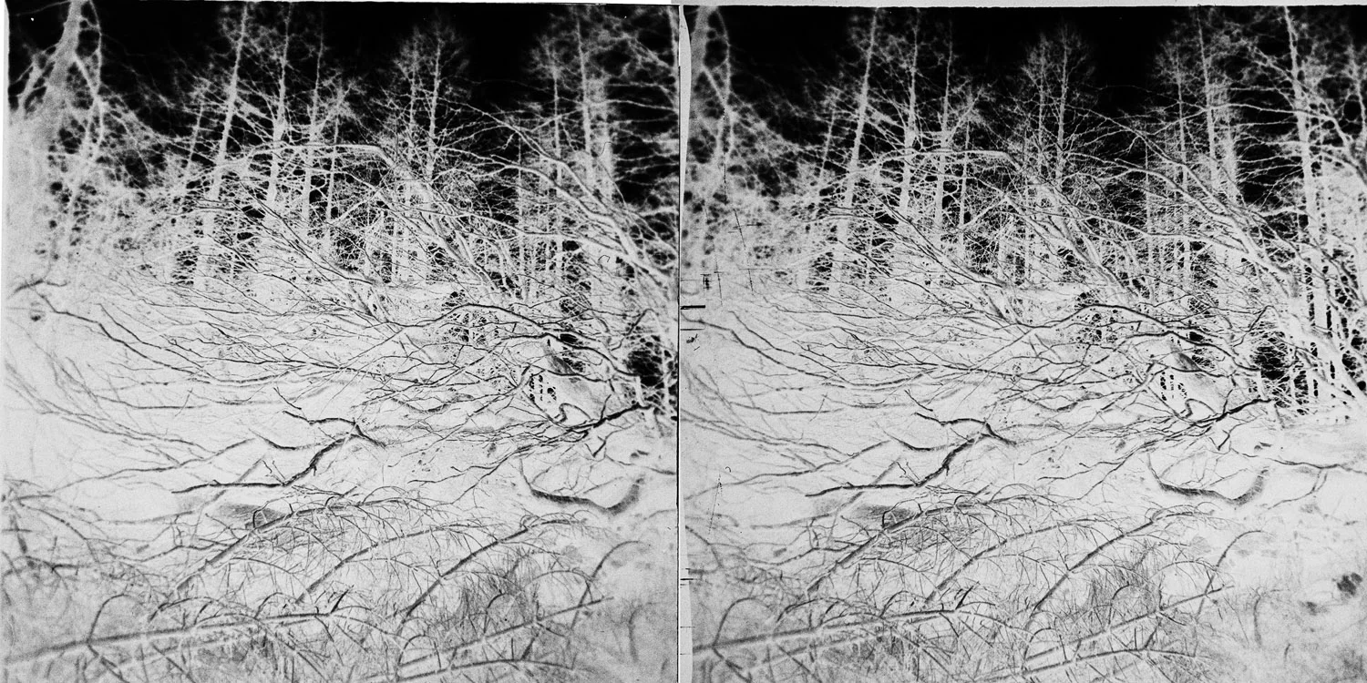 020_negative.jpg