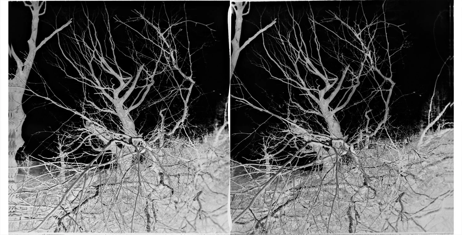 031_negative.jpg
