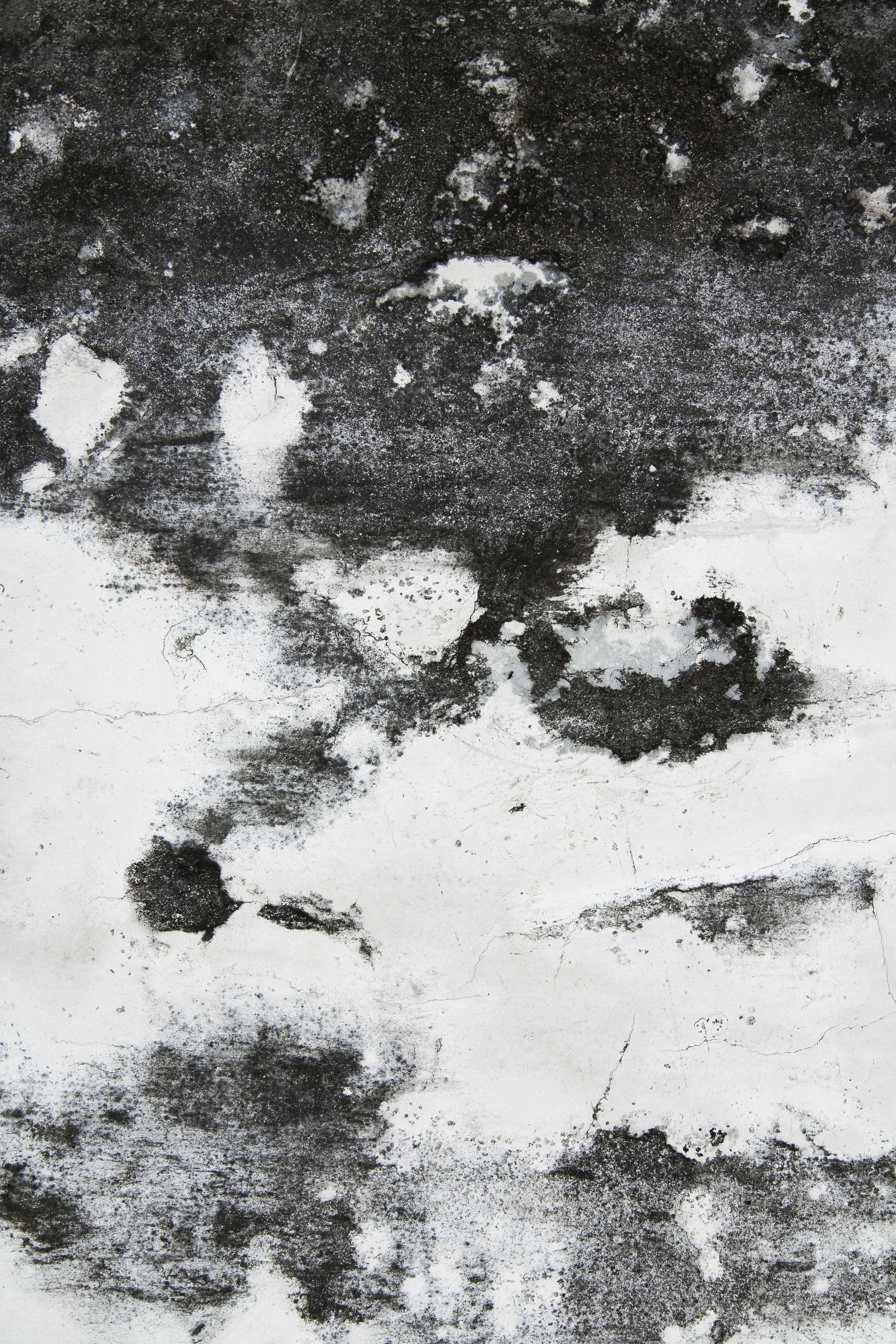 Stone 3 Vertical.jpg
