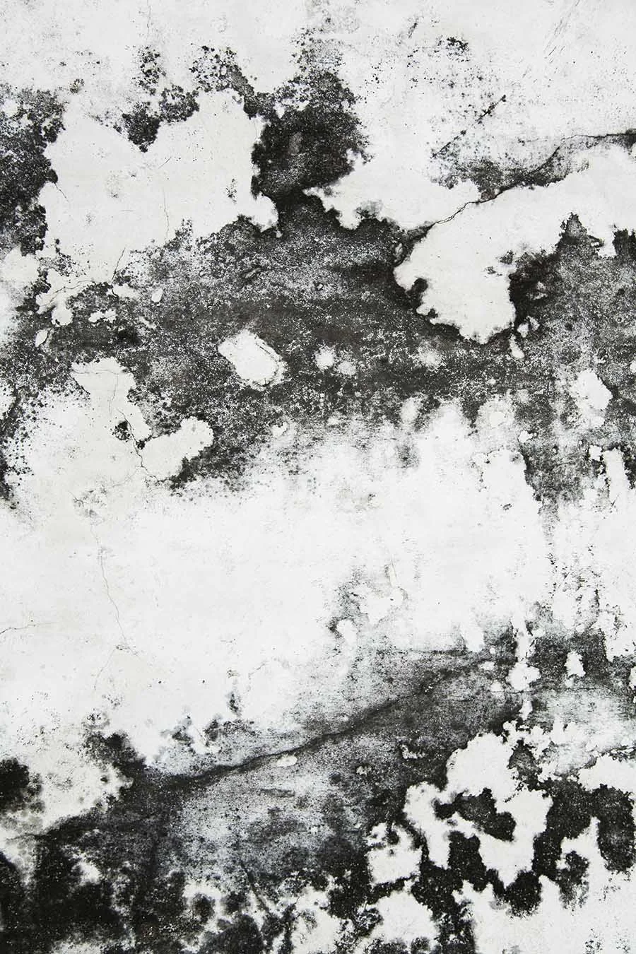 Stone 2 Vertical.jpg
