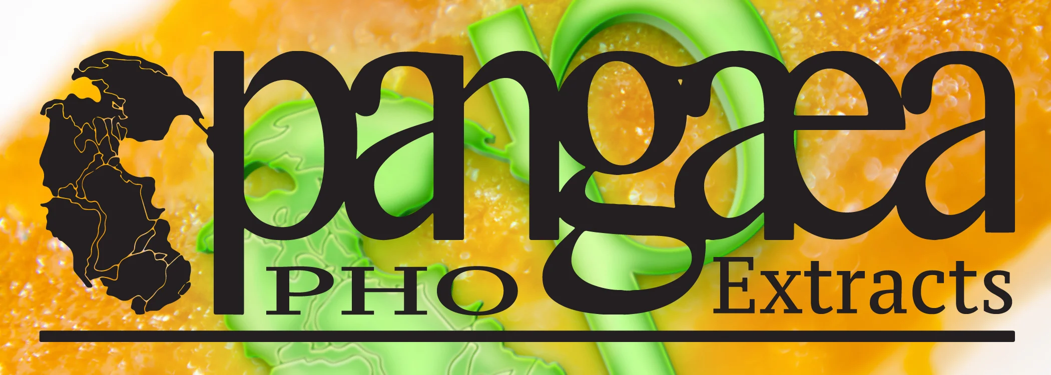 PHOBANNER.jpg