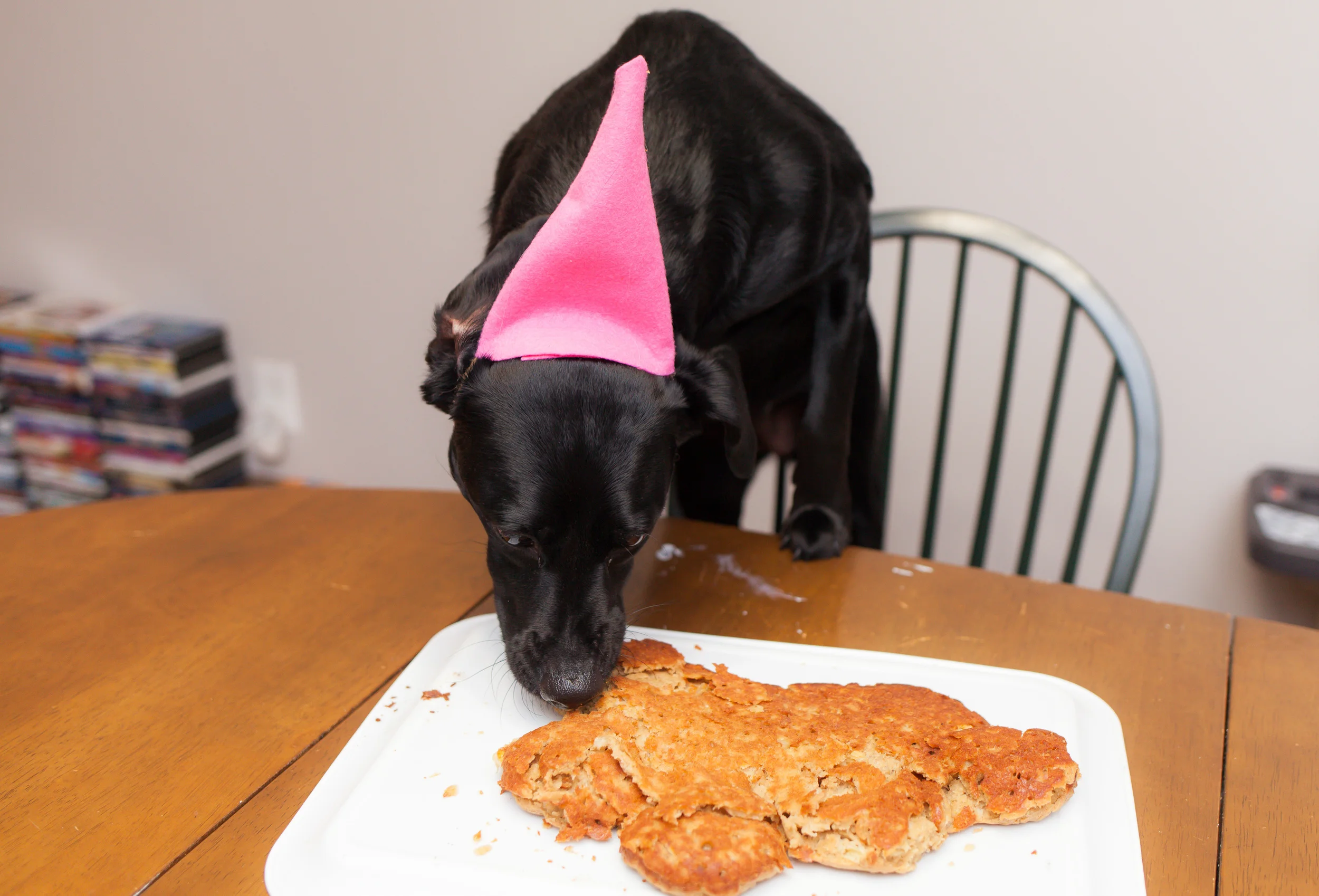 Mom, can I just take one pishure?: A Little Dude's World Through the Lens | 3rd Installment