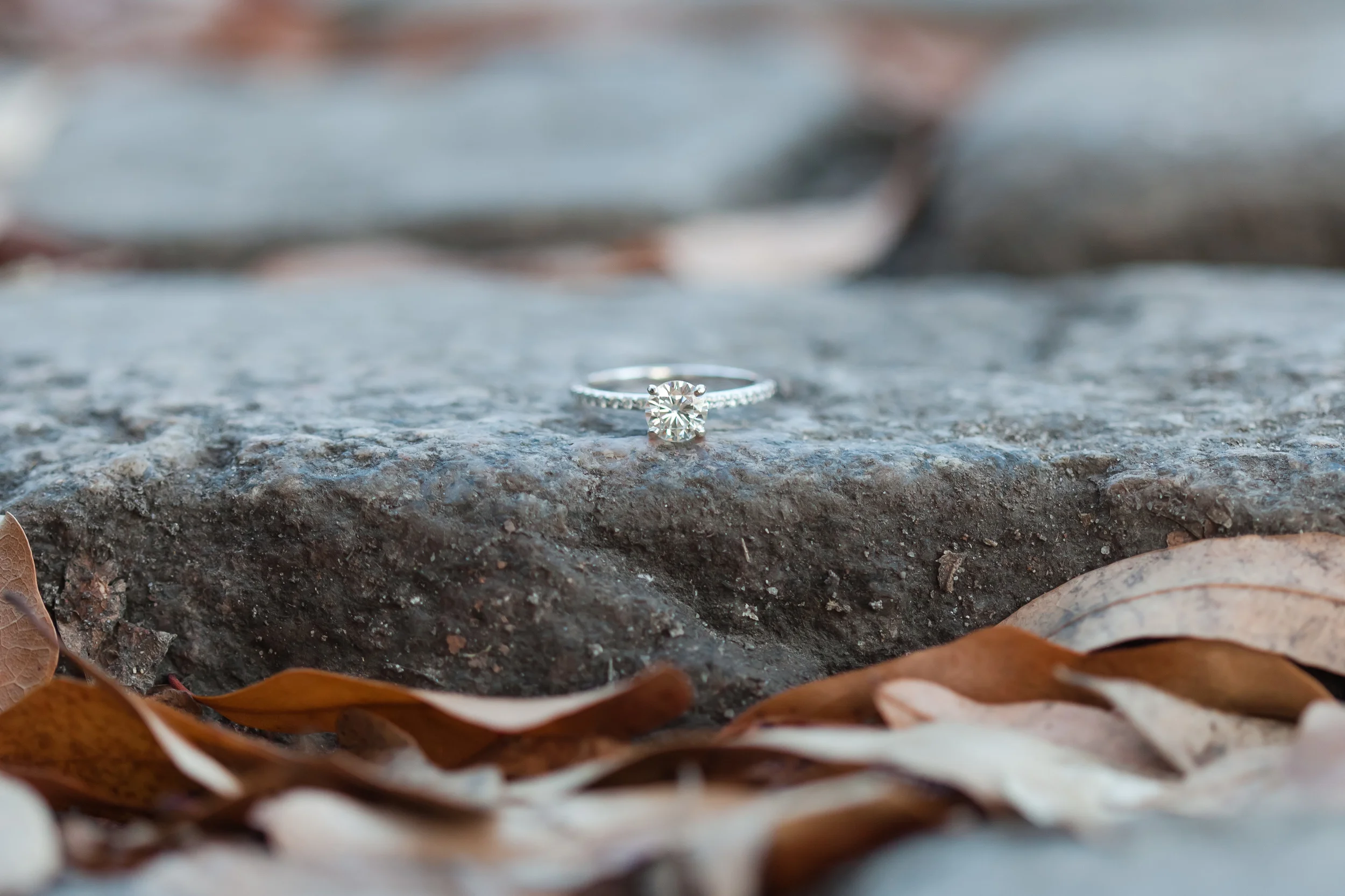 Devin & Corey's Engagement Session | Downtown Norfolk Engagement Photographer