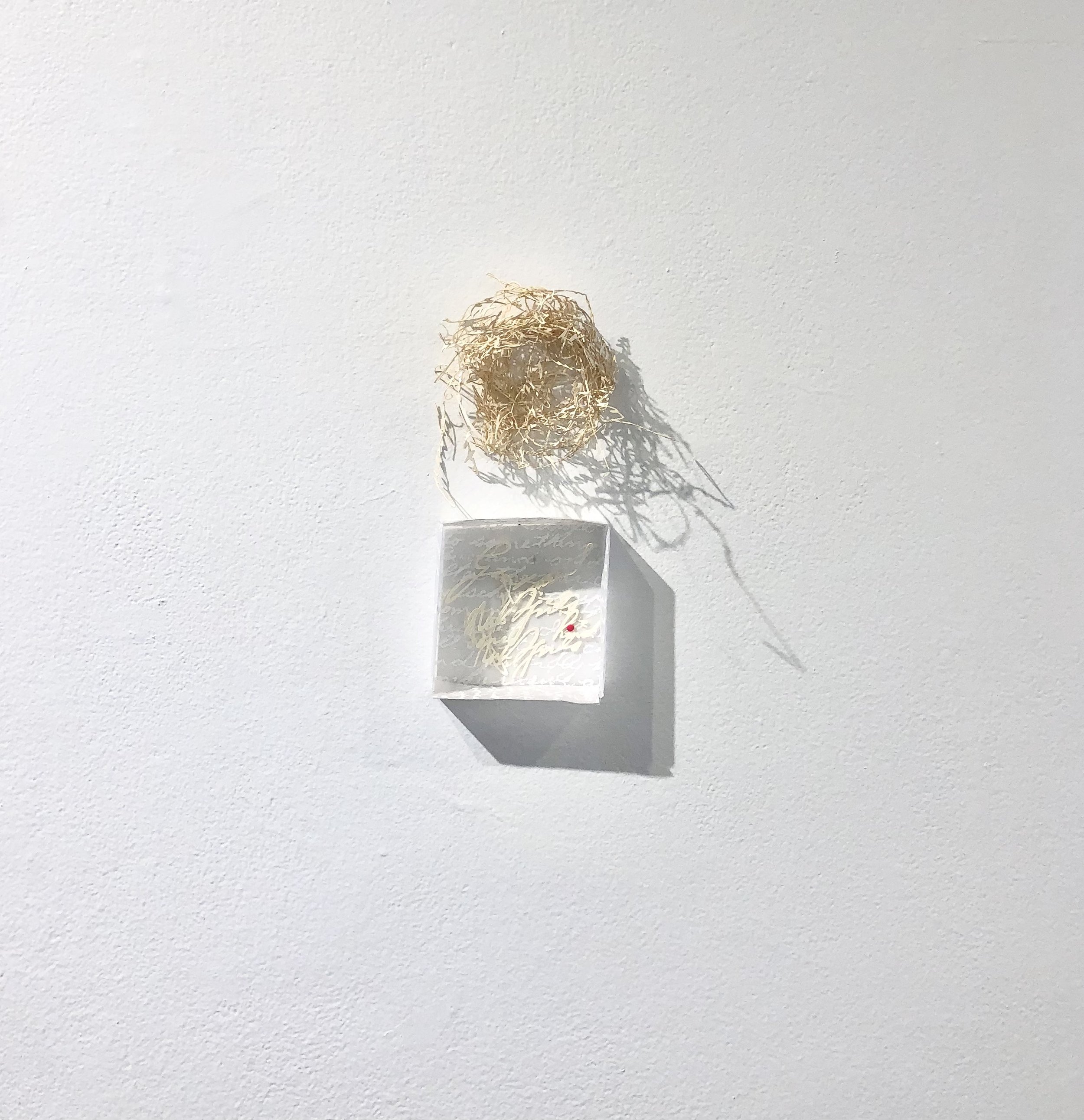 Susan Vitali Nesting.jpg