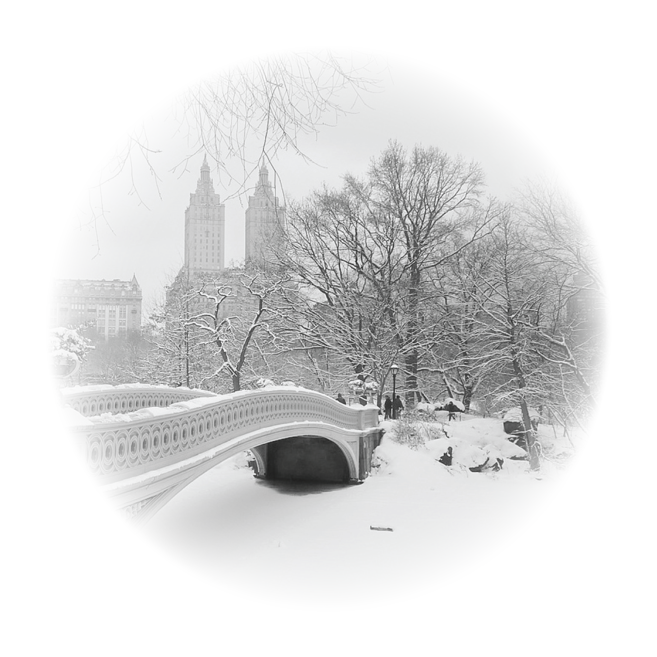 Last Meeting in Central Park