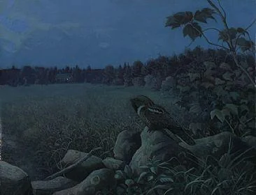 i am the whip-poor-will