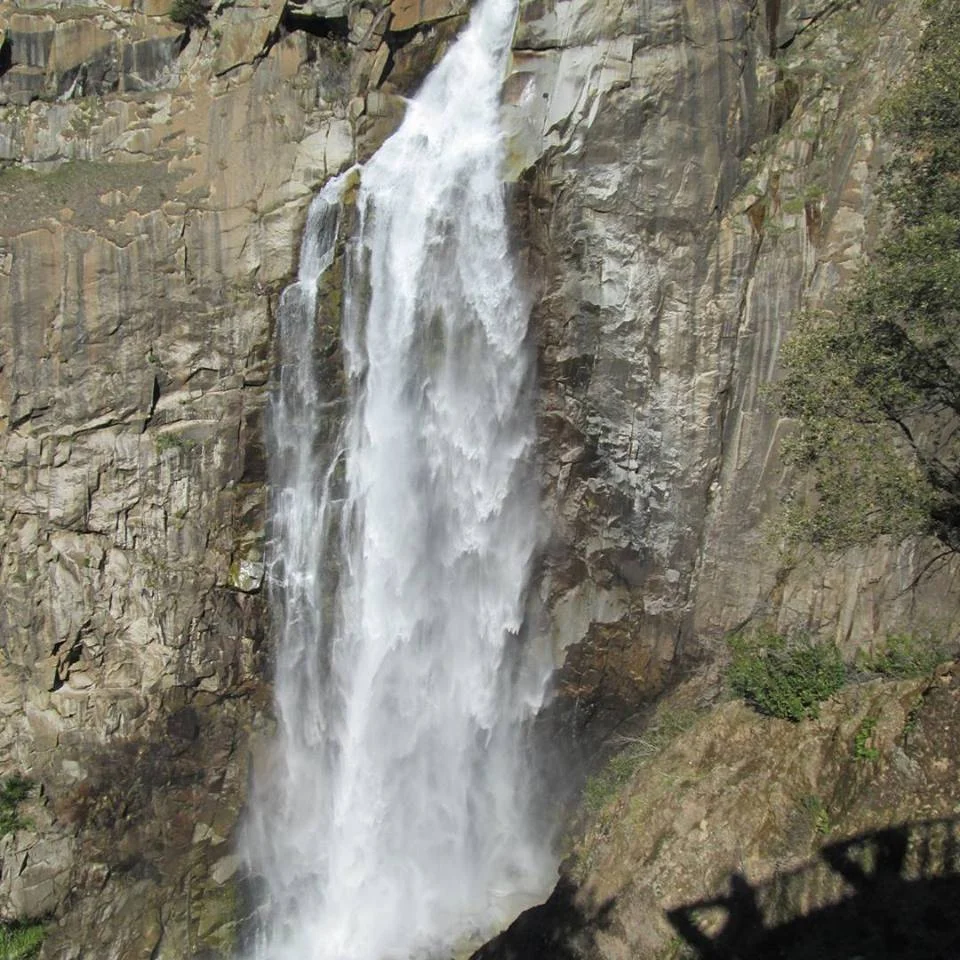 Plunge! Where Ladybugs Winter