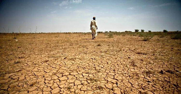 Drip by F. Gaines Whitington