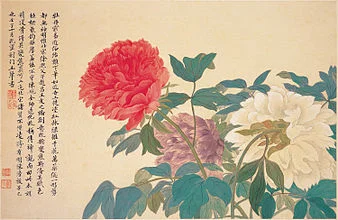 Peony Power
