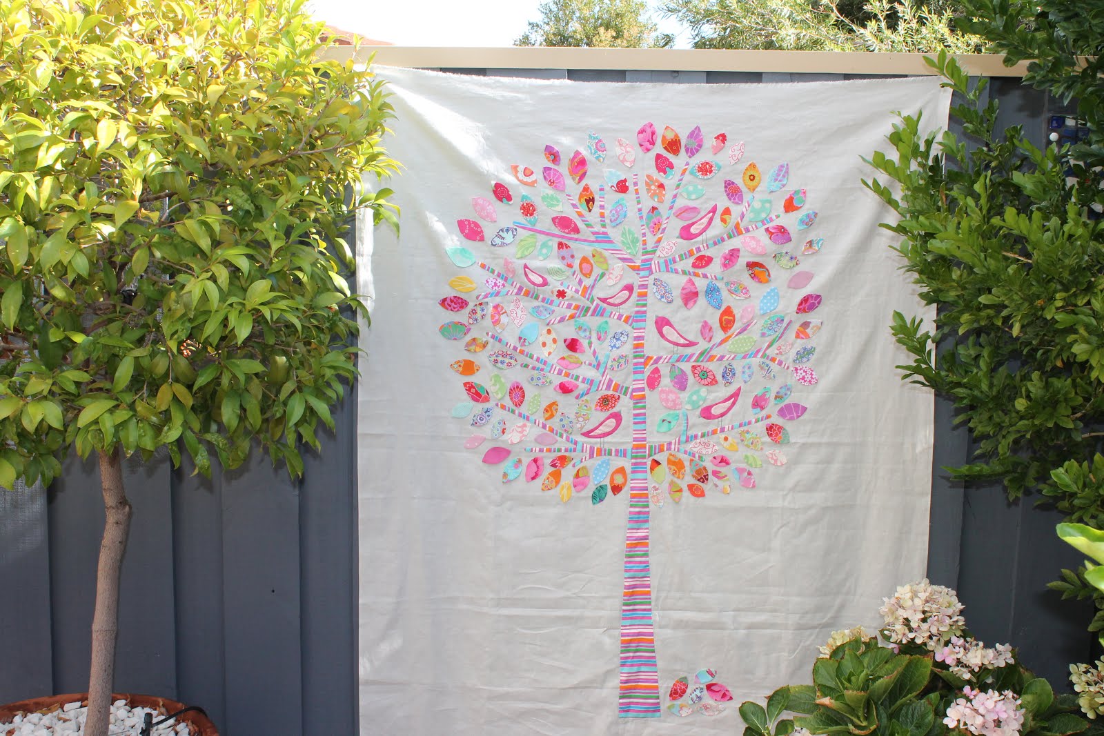 Lilly-Pilly, Tree ID 1285751