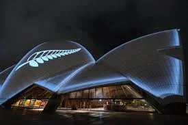 silver fern for lilacs