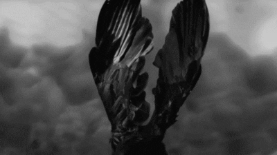 Eagle Man