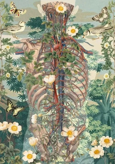 27 letters, 27 lines                               deconstructing metamorphosis                   in three anagrammatic words