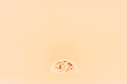 United Nations of Atoms