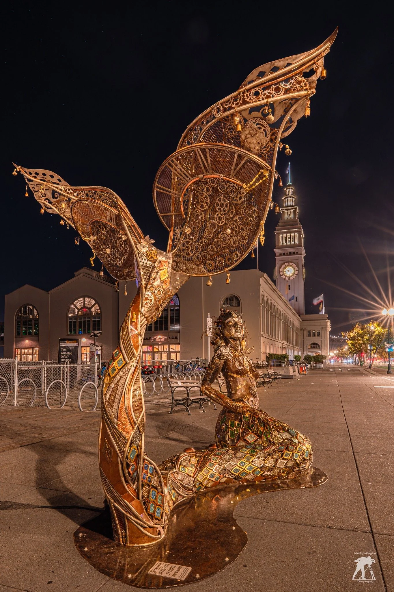      

 
   One-eyed travelers embark…     Eight artists meet portside,  alongside illuminations on loop, Big Art!     Mosaic Desert Shark sparks awe  for fishing heritage. It drops jaws.     Self-reflective, Got Framed skate up picture this,  ‘You’ 