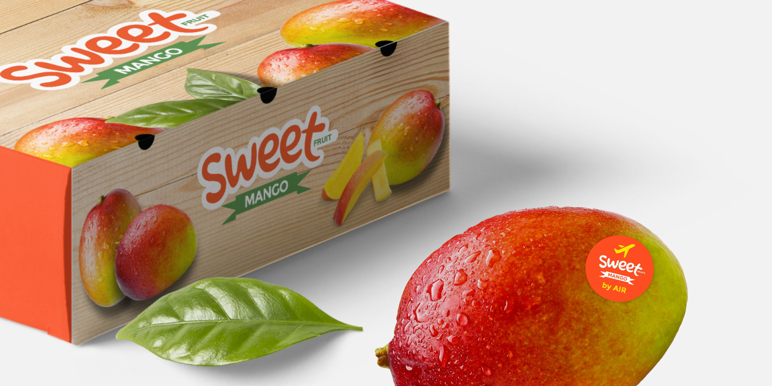 box-mockup-copy copy.png