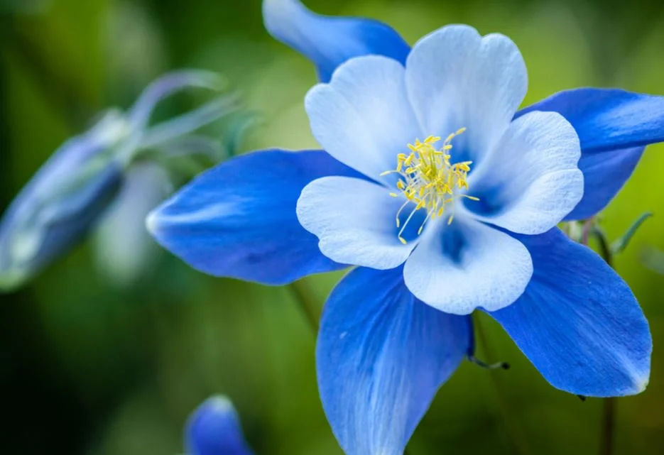 Relaxation Course at xxxxxxxx