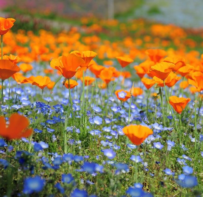 Relaxation Course at zzzzzzzzz