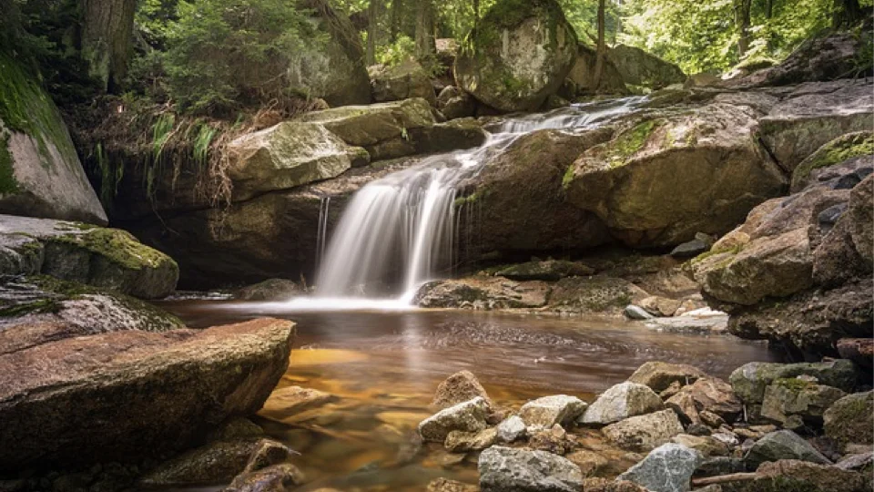 Total Body Relaxation and Rejuvenation (23:00)