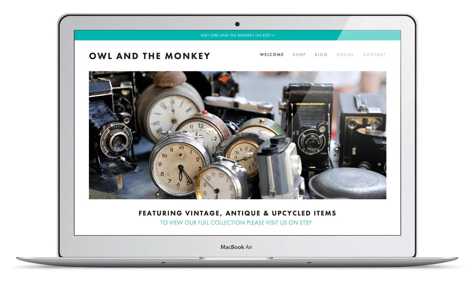 owl-and-the-monkey-homepage.jpg