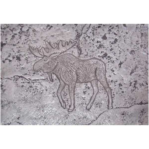 Moose Concrete Stamp