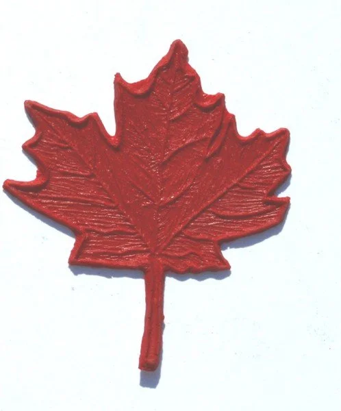 maple leaf 2.jpg