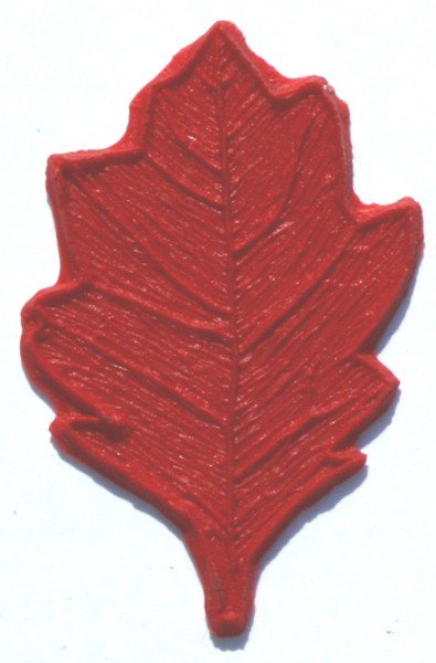 oak leaf 2.jpg