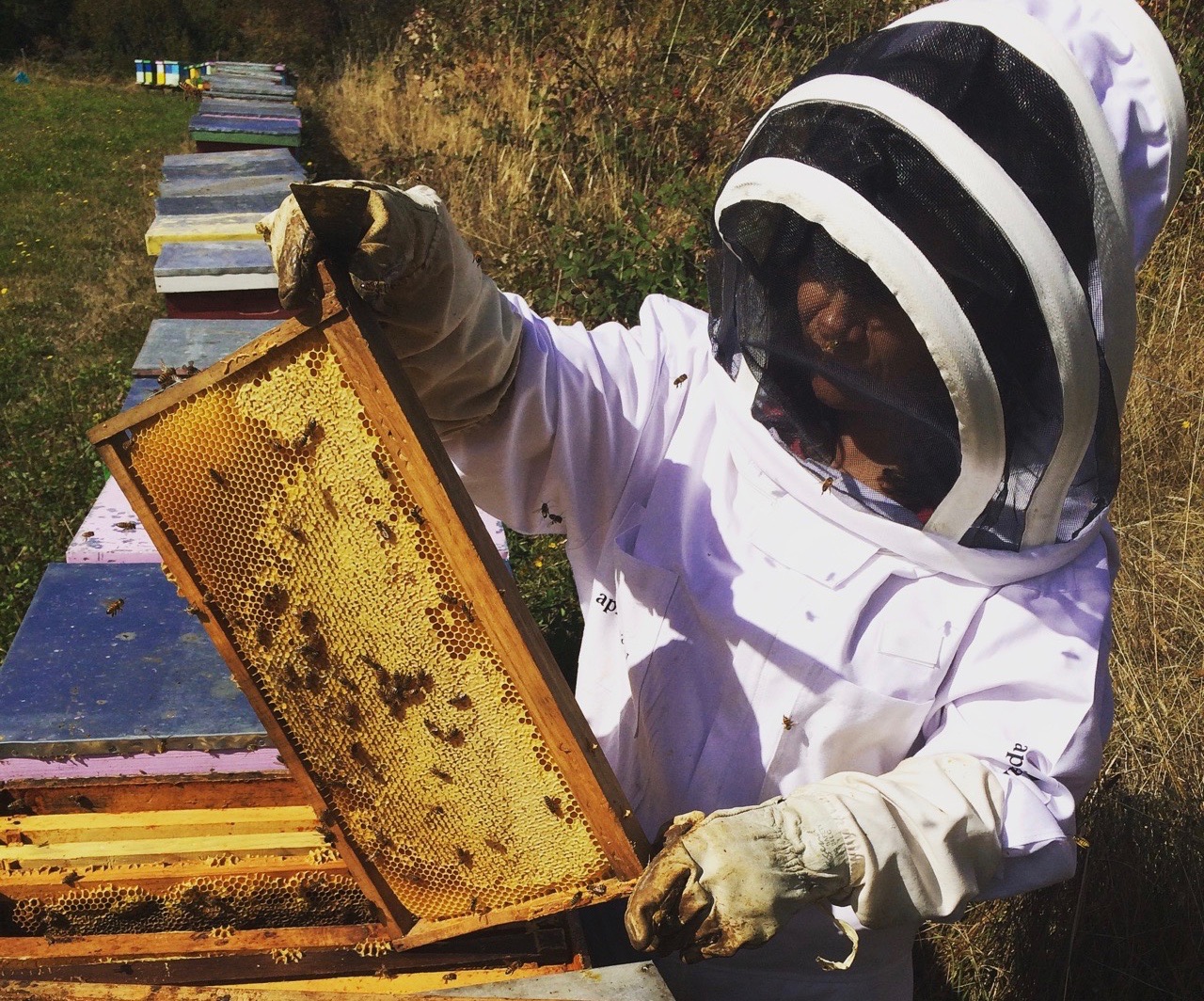 Beekeeper-honeybee-hives-honey-1.jpg