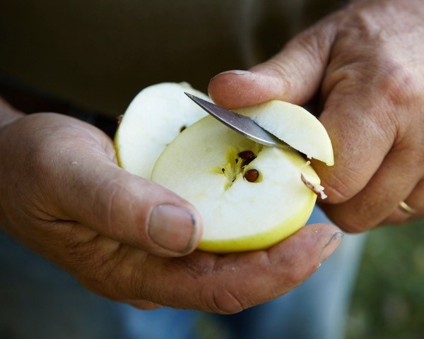 Apple Wood Cider.jpg