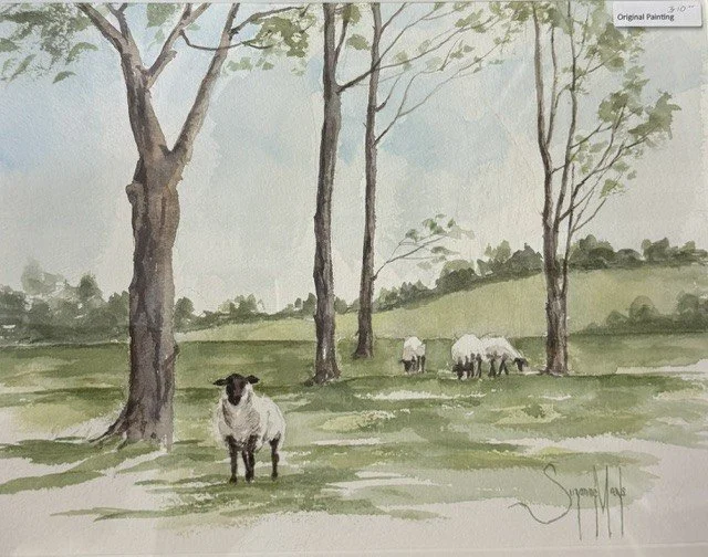 In the Meadow