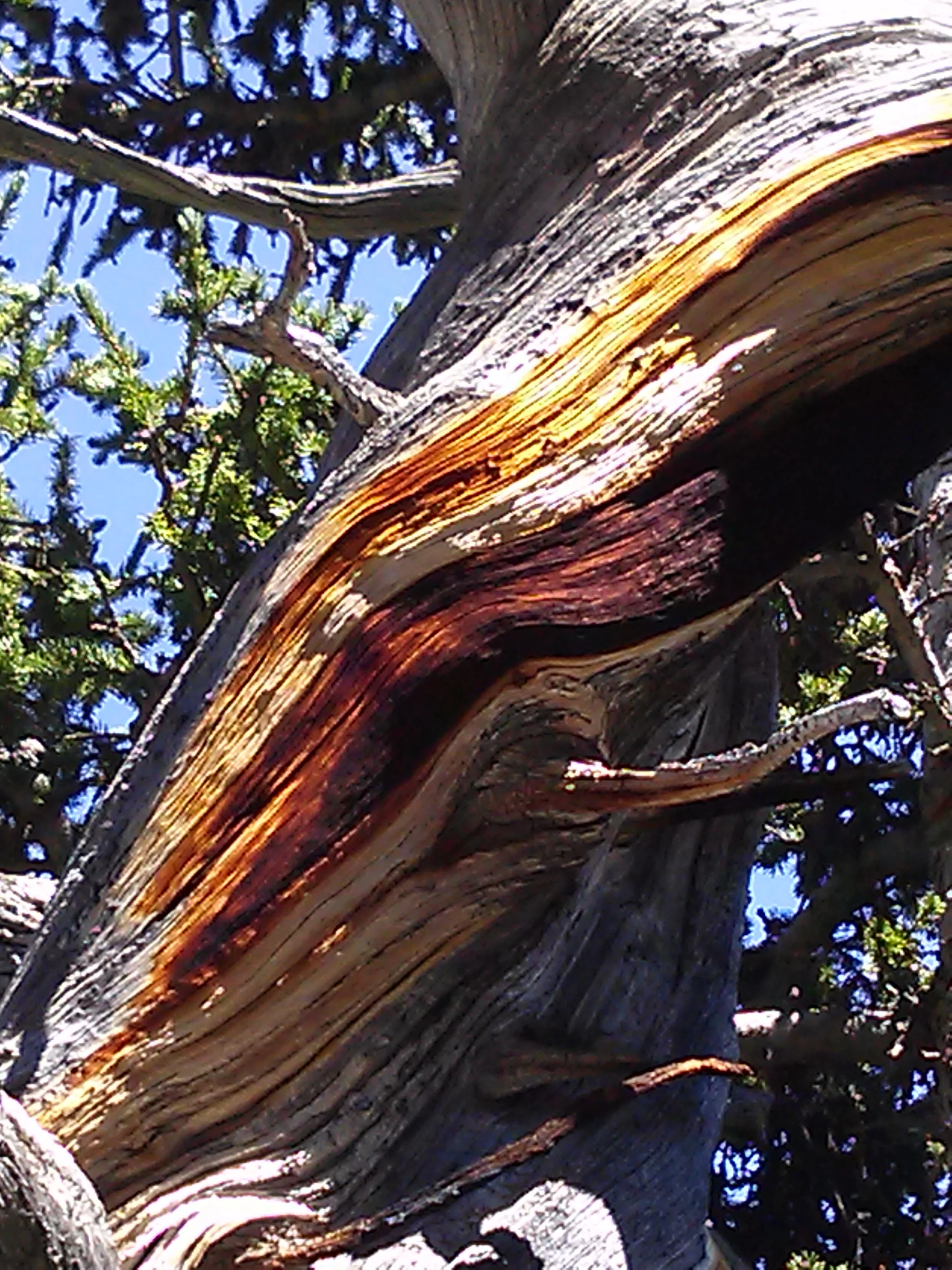 CAM02176.jpg