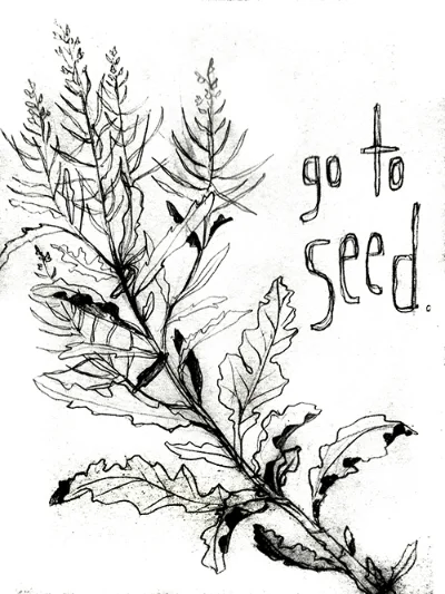 GoToSeed.jpg