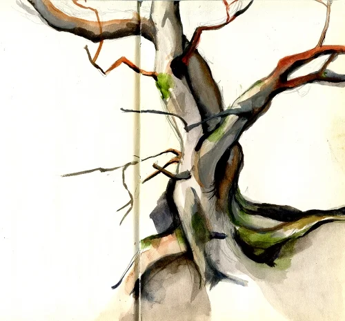 tree.jpg