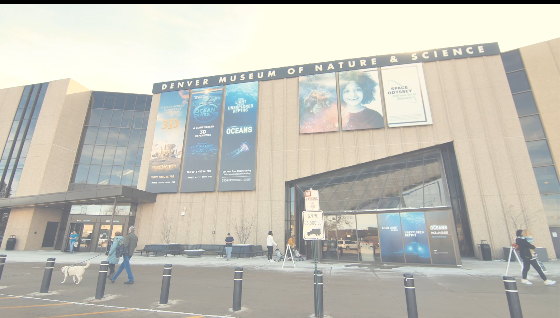 DMNS video back up.PNG