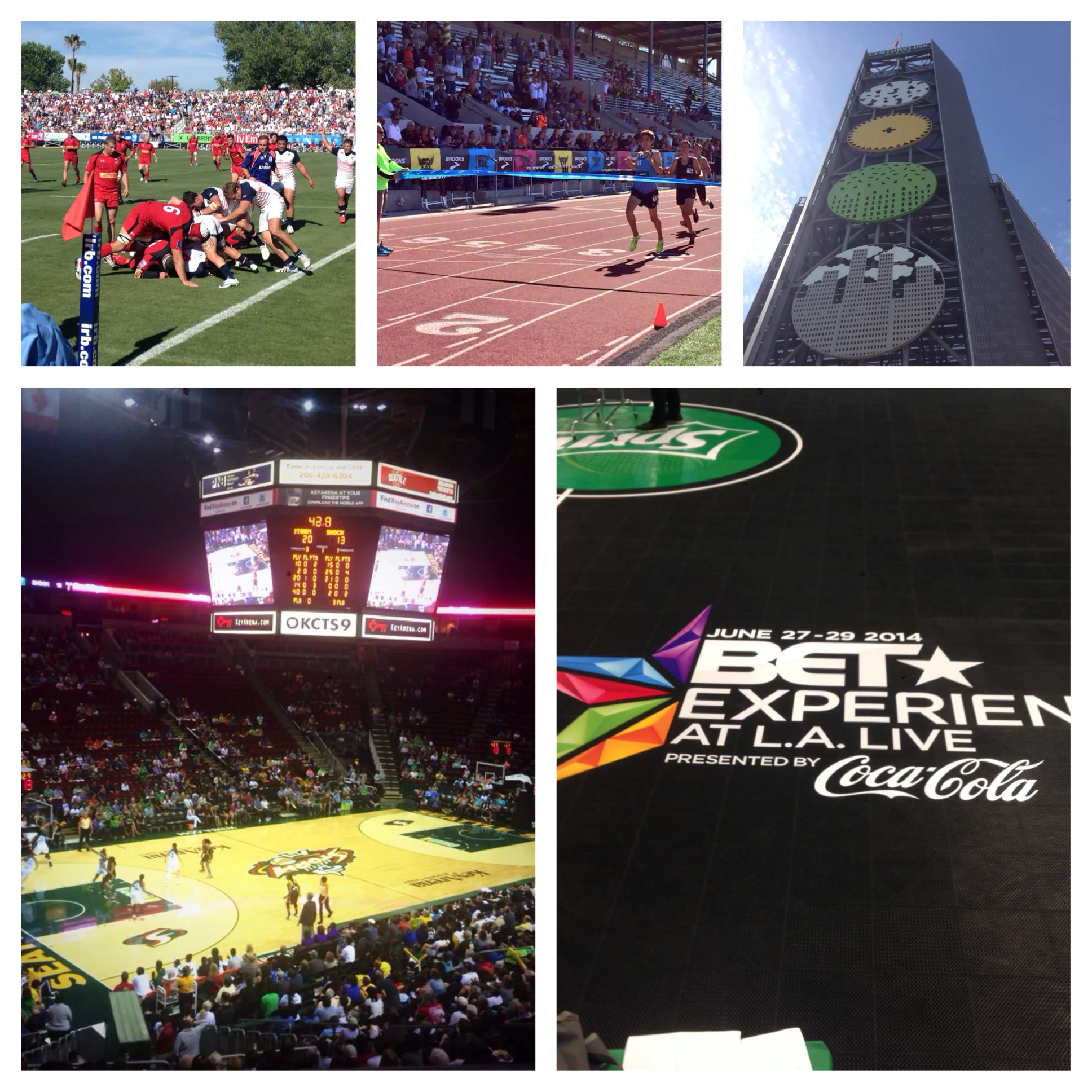 Similarities & Differences in Sports Production