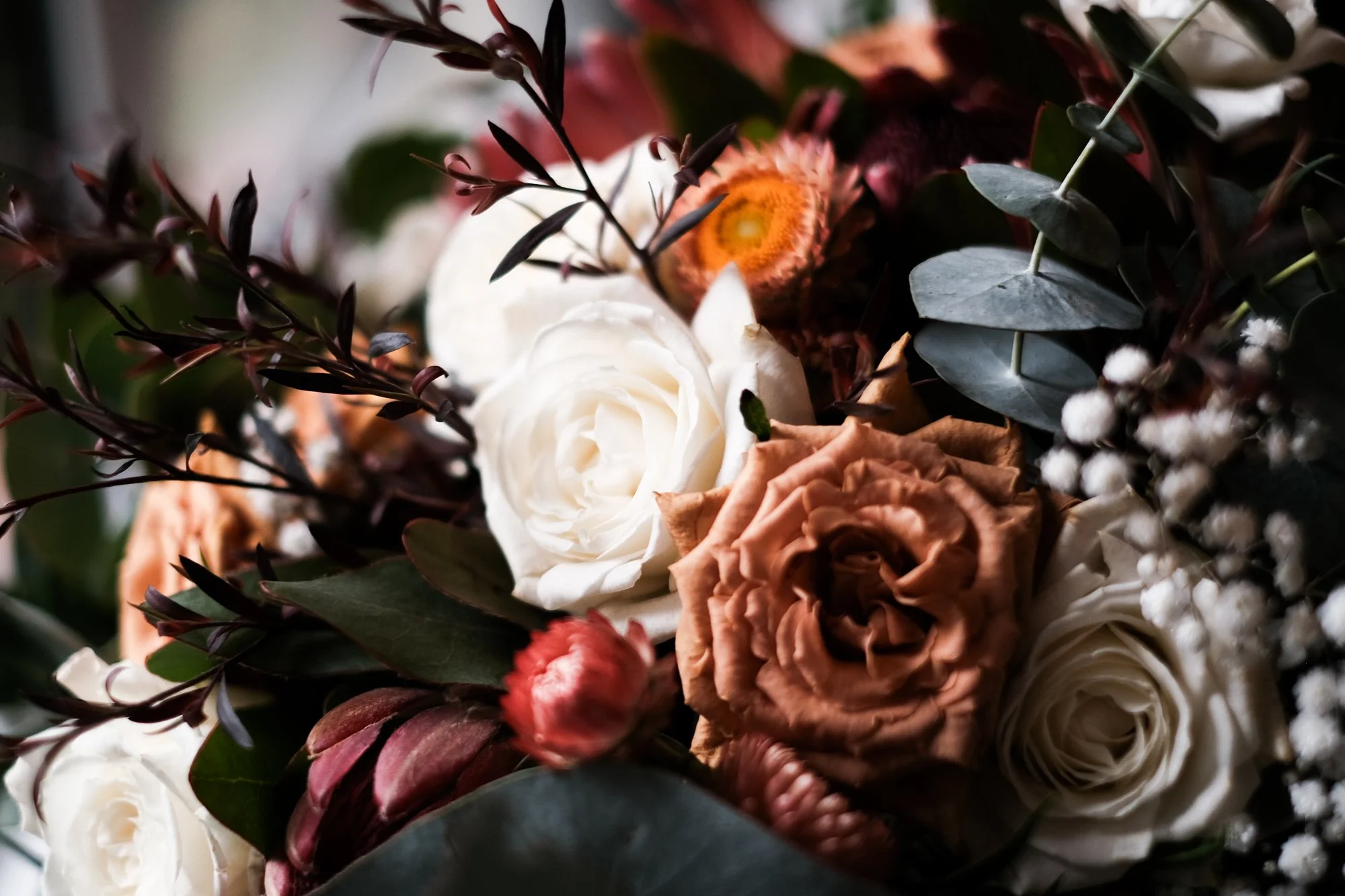 K&N Web colour-68.jpg