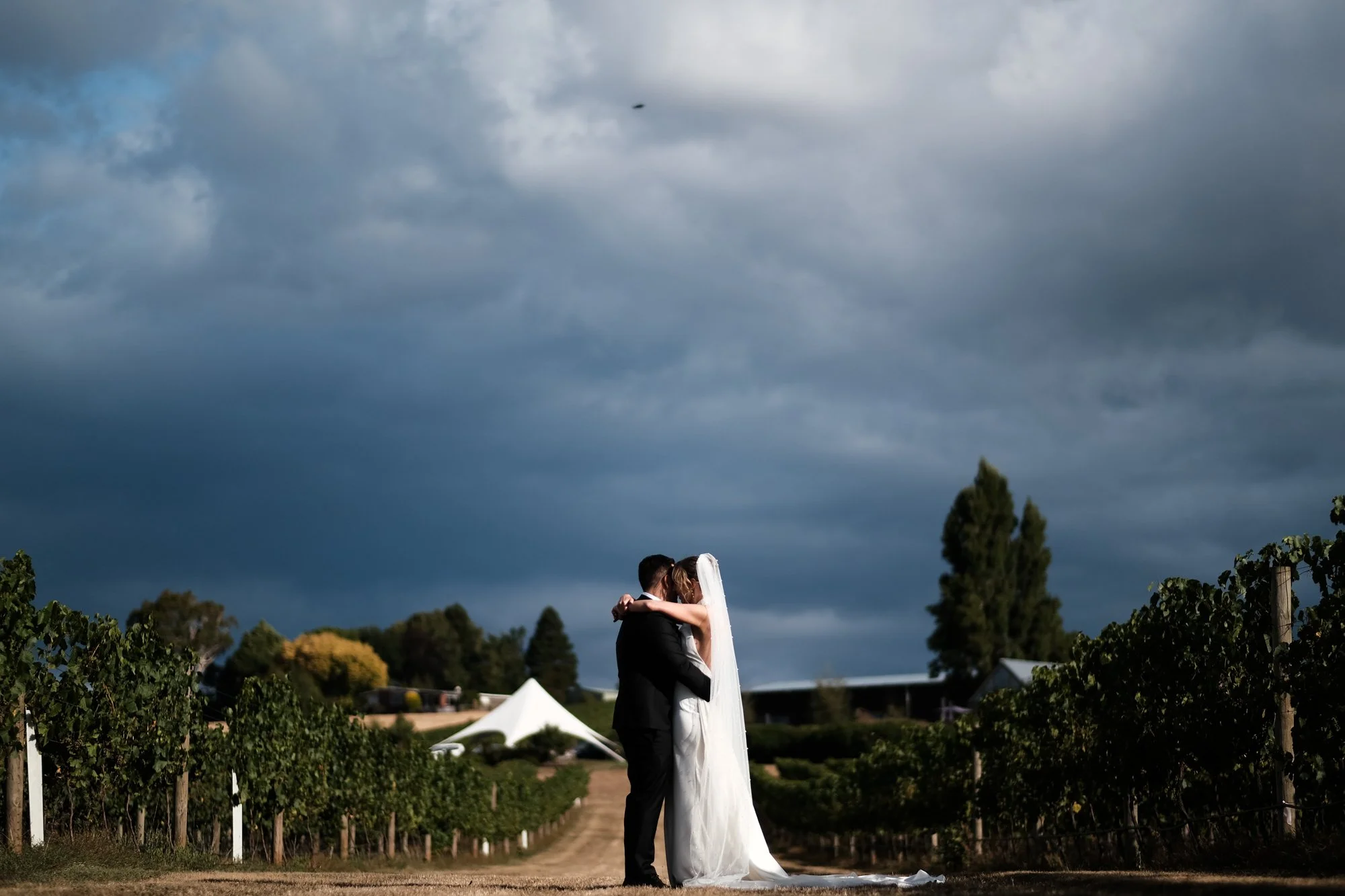 K&N Web colour-349.jpg