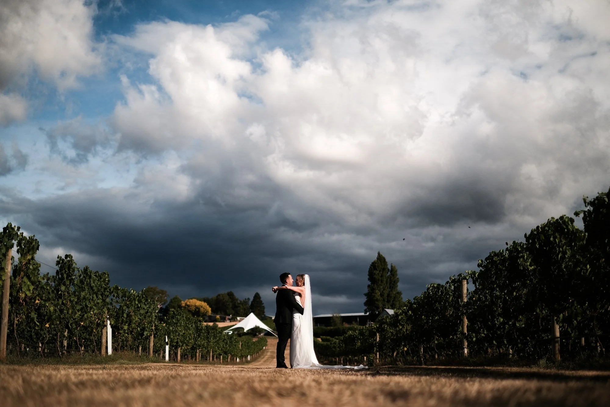 K&N Web colour-350.jpg