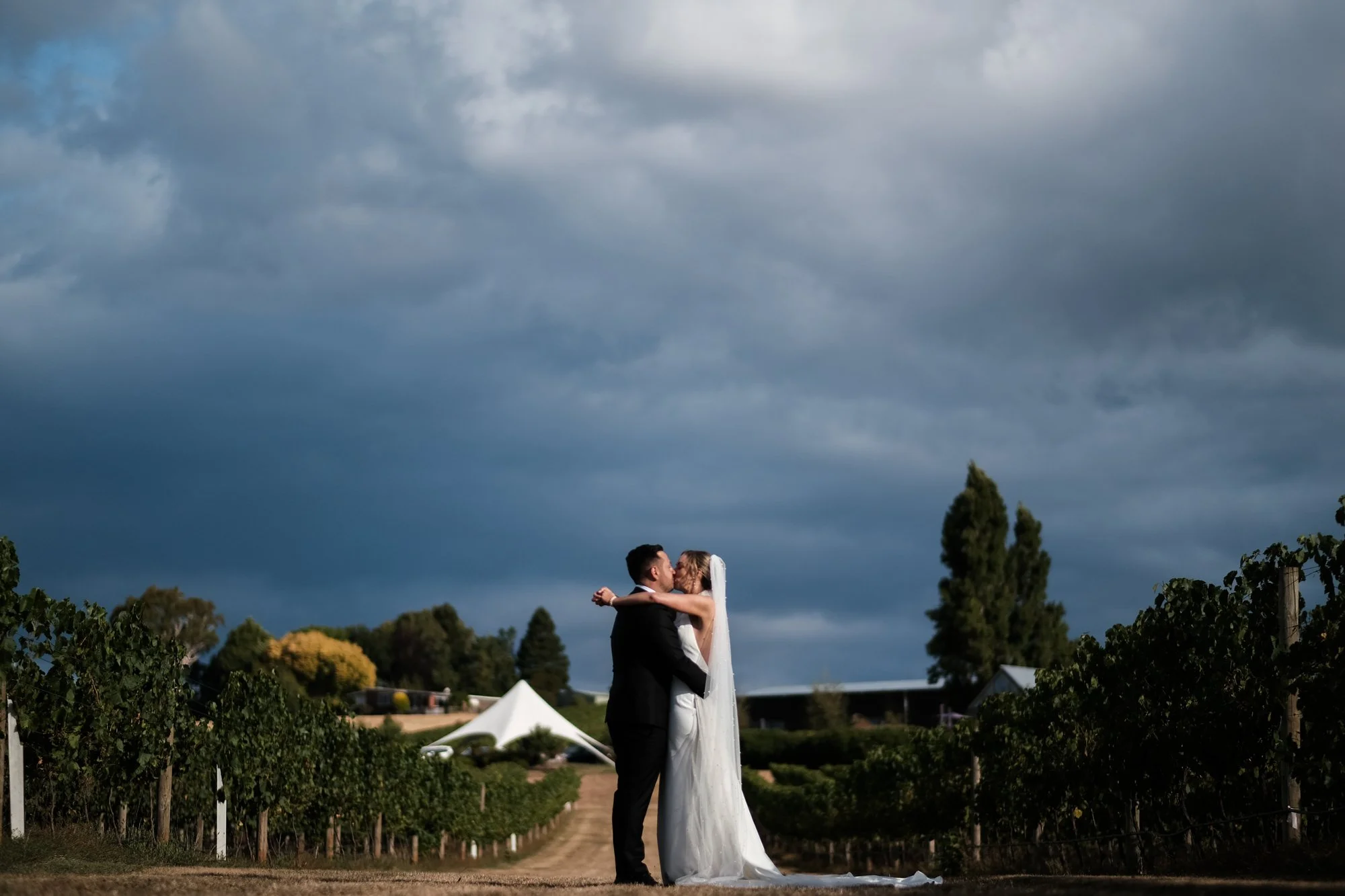 K&N Web colour-351.jpg