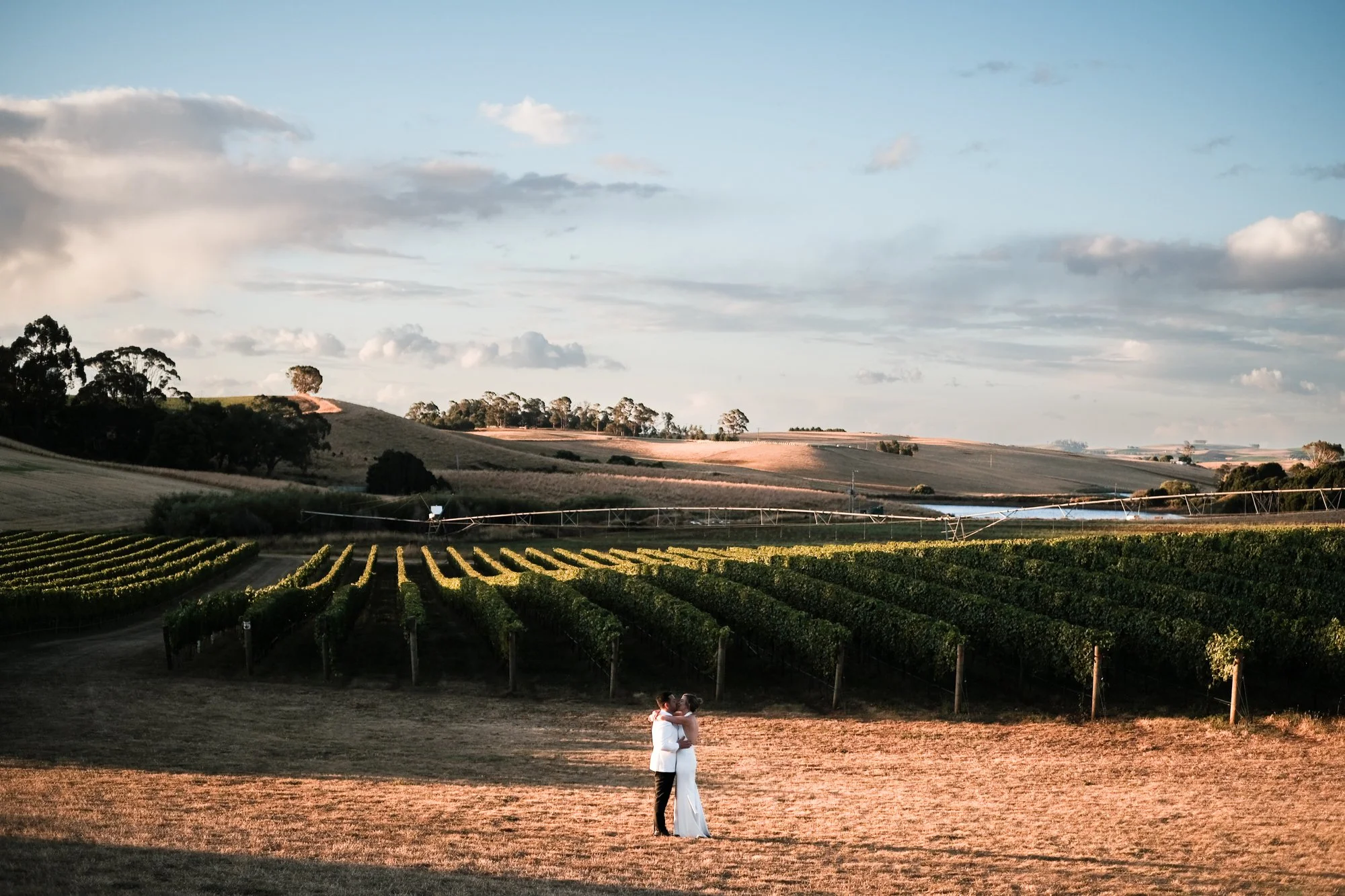 K&N Web colour-450.jpg