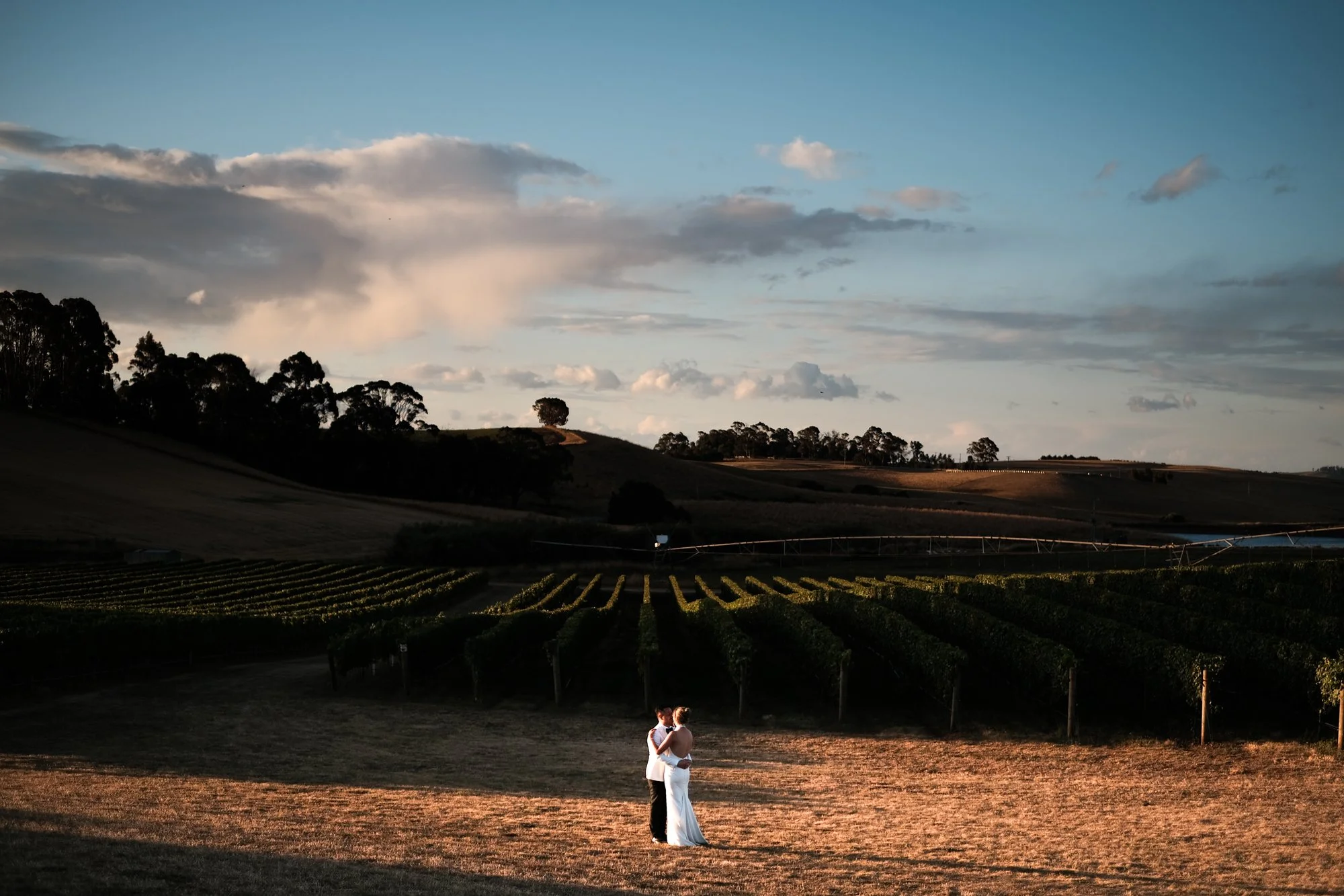 K&N Web colour-451.jpg