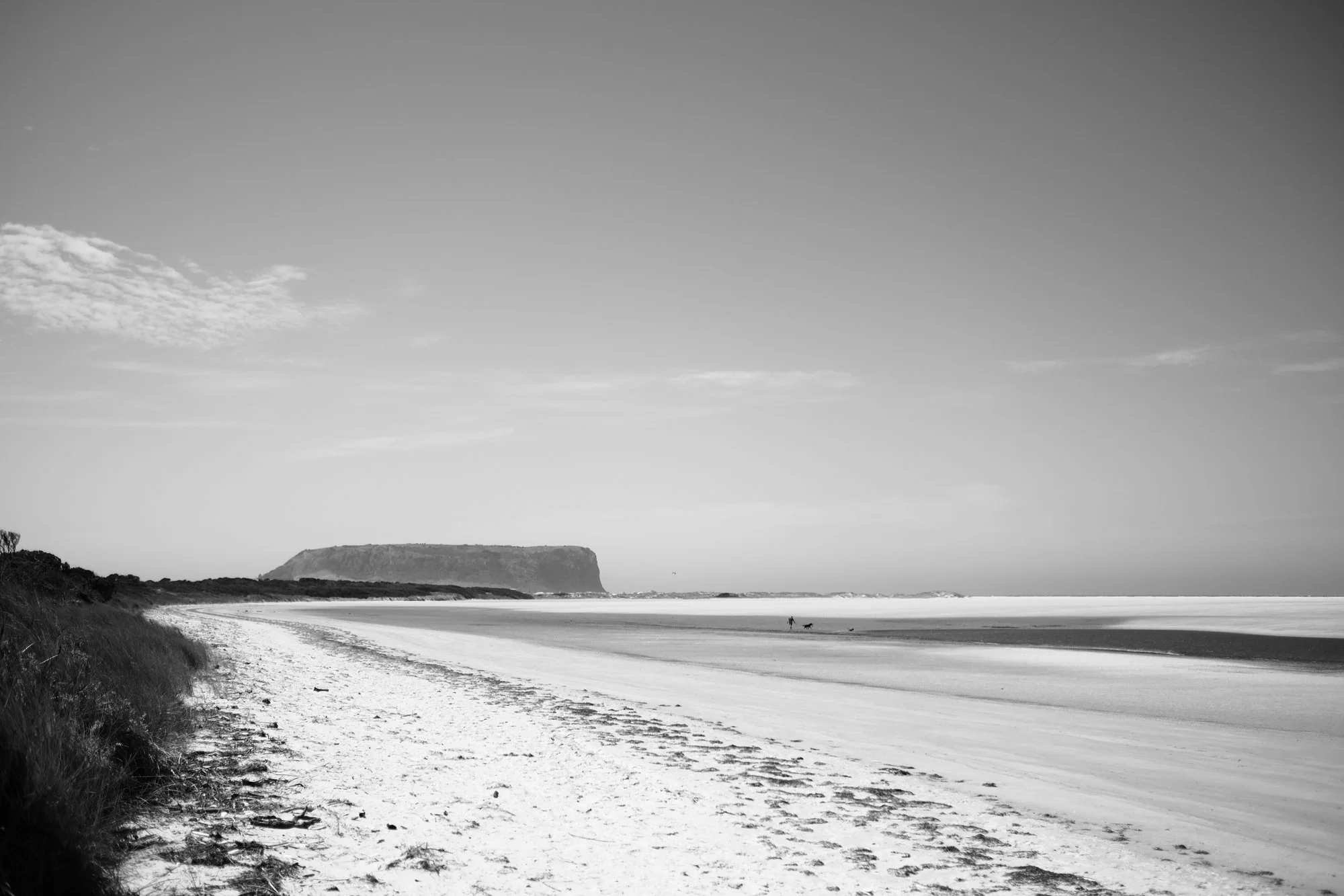 D&S Websize-10.jpg