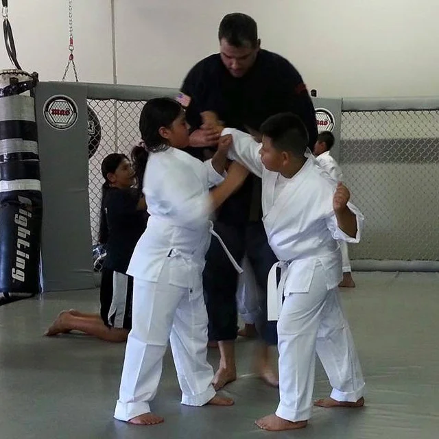 Kid's Kajukenbo