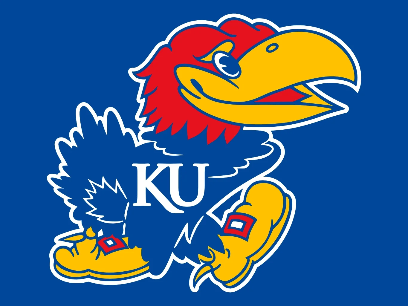 I previously worked at the University of Kansas. Rock Chalk!! 