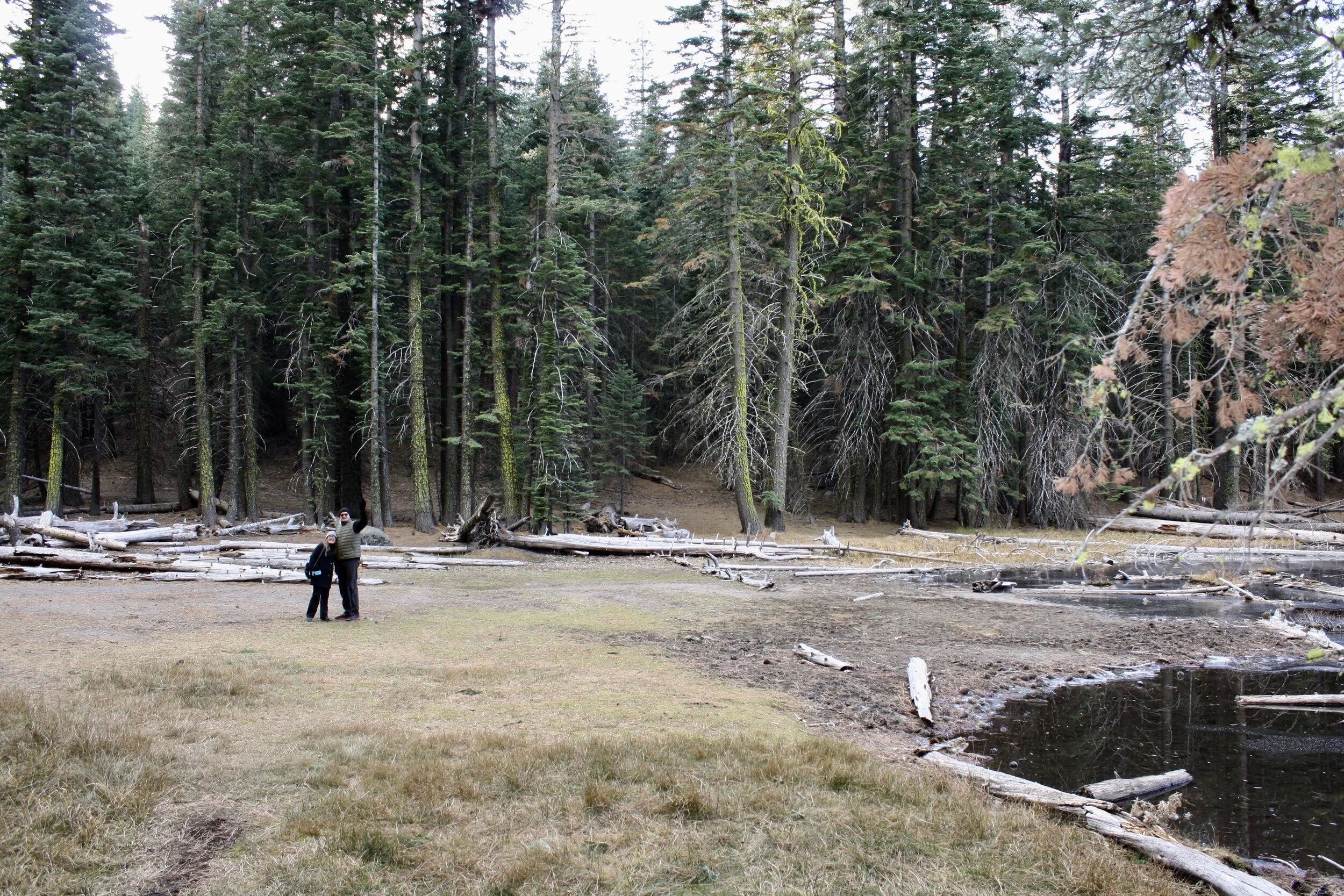 Best of California November 2019 — Nicolas Babarskis